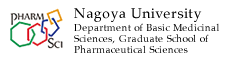 Department of Basic Medicinal Sciences, Graduate School of Pharmaceutical Sciences, Nagoya University